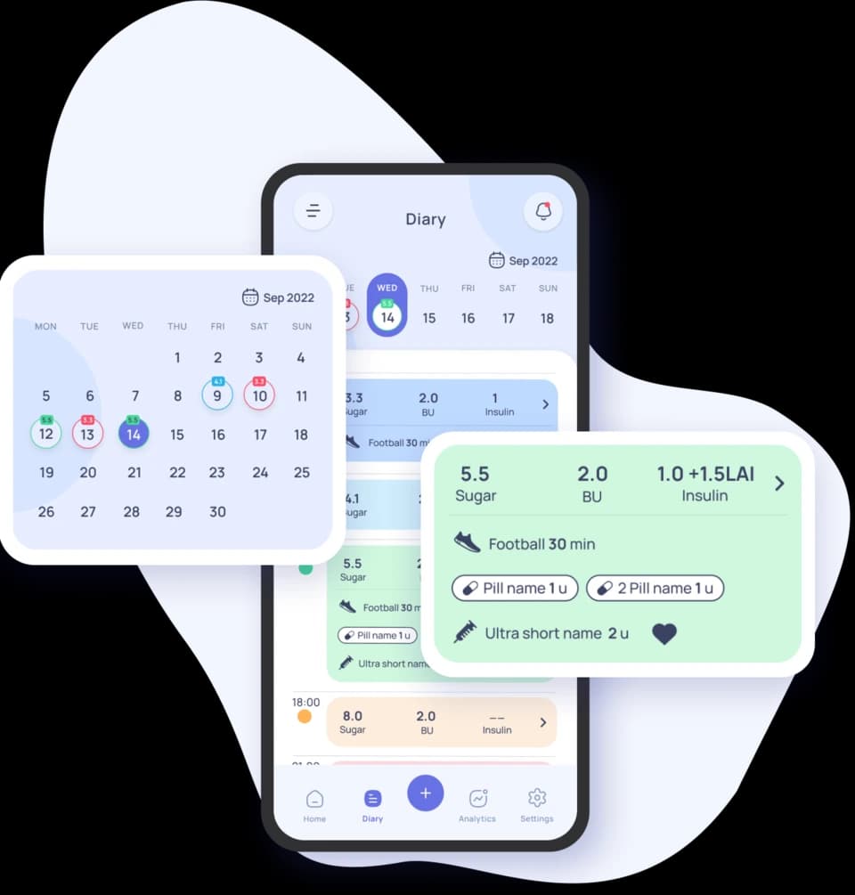 Diary screen the application